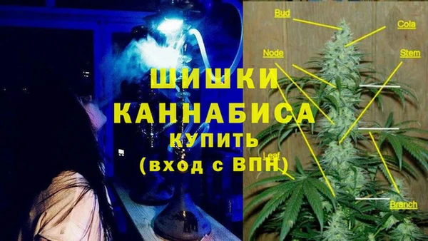 спайс Пересвет