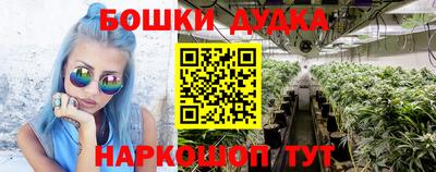 сатива Балаково