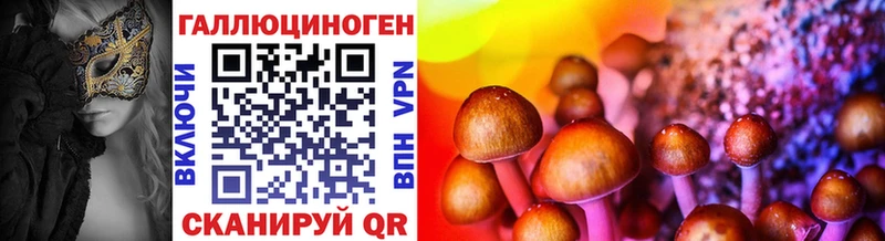 KRAKEN Омск Псилоцибиновые грибы MAGIC MUSHROOMS