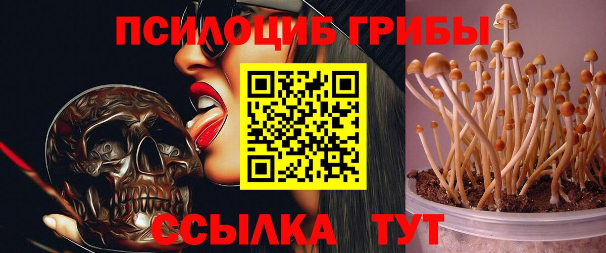Галлюциногенные грибы GOLDEN TEACHER  Вход с VPN  Омск 